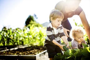Children planting: Garden Planting
