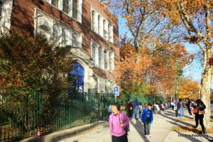 P.S. 41 Crocheron - top public elementary schools in NYC