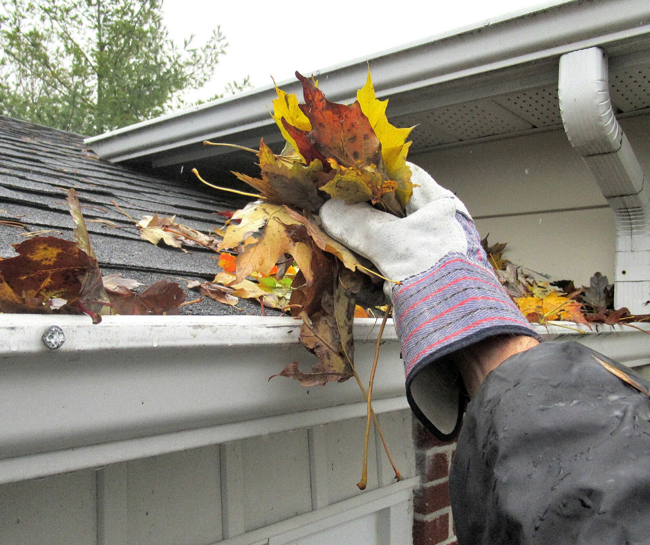 Exterior Maintenance Tips NestApple